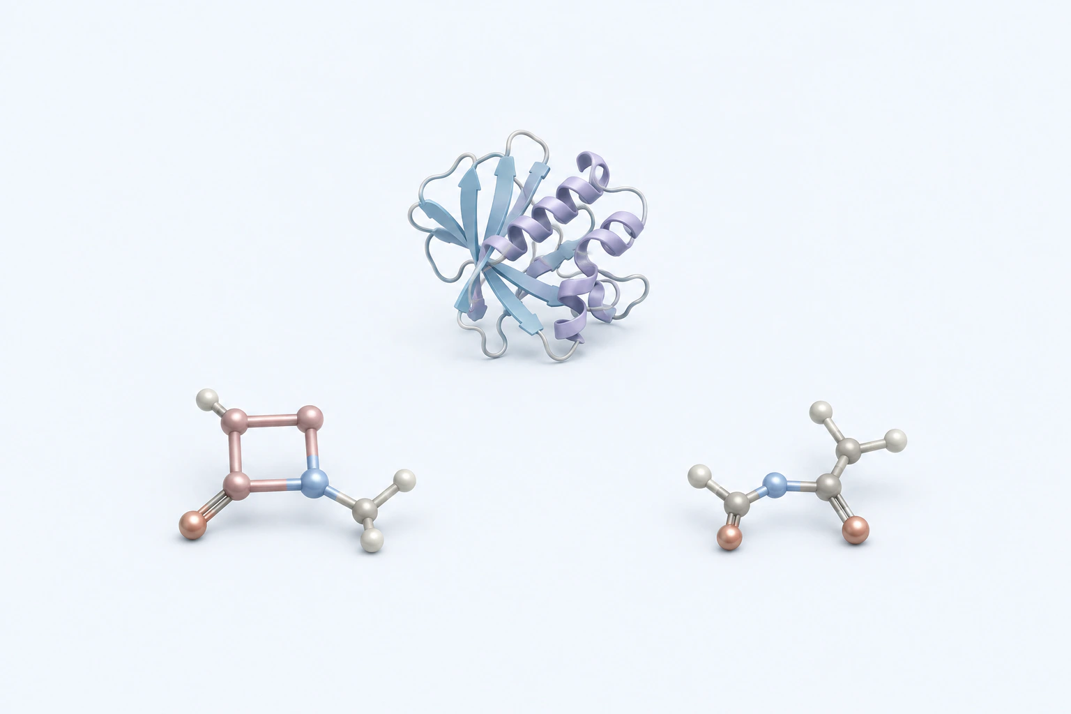 Three complete groups show a generic enzyme form, a closed beta-lactam-ring token, and a separate opened-ring context token.