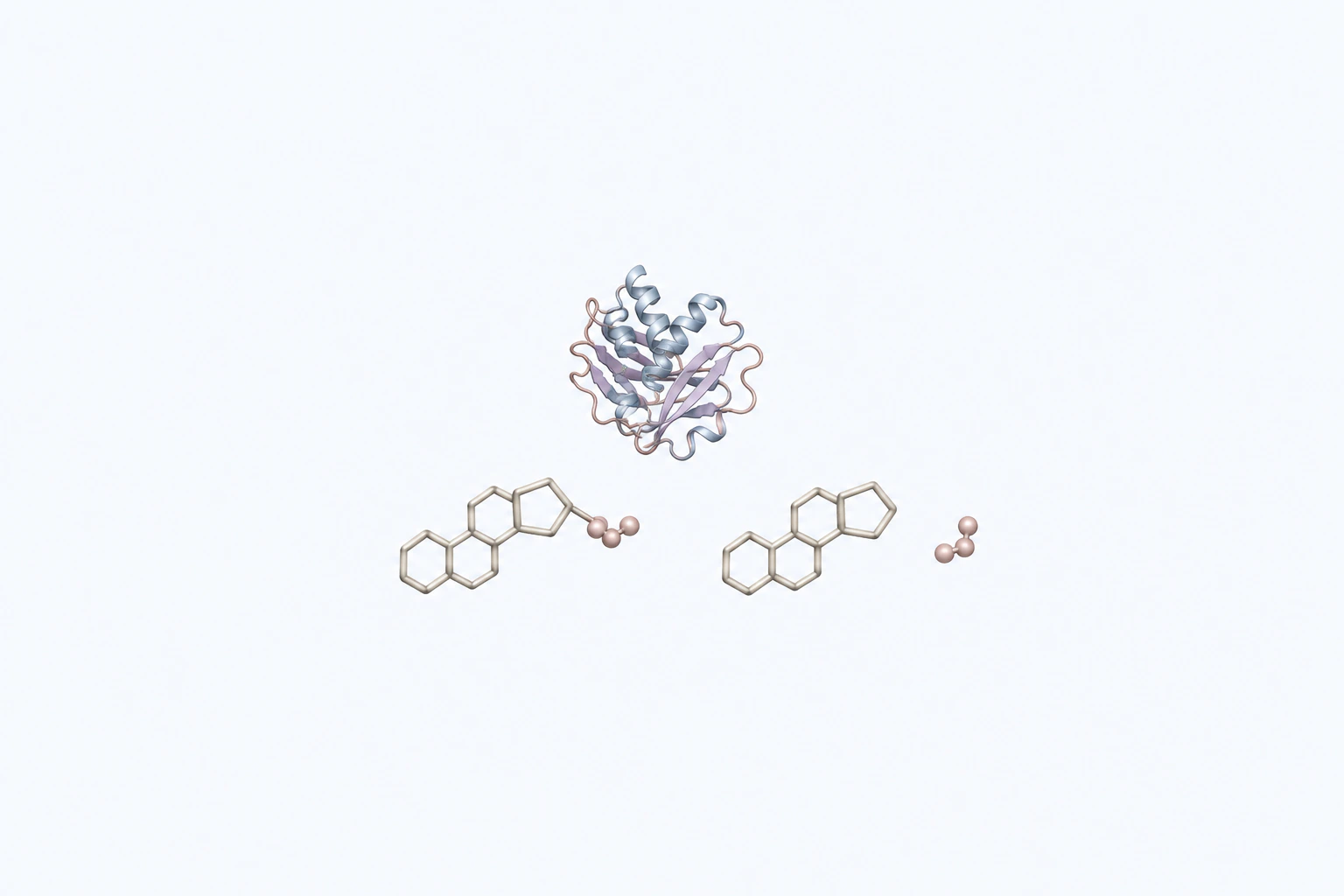 A compact generic folded-enzyme form is separated from one joined four-ring-and-bead context token and one detached product-context pair.