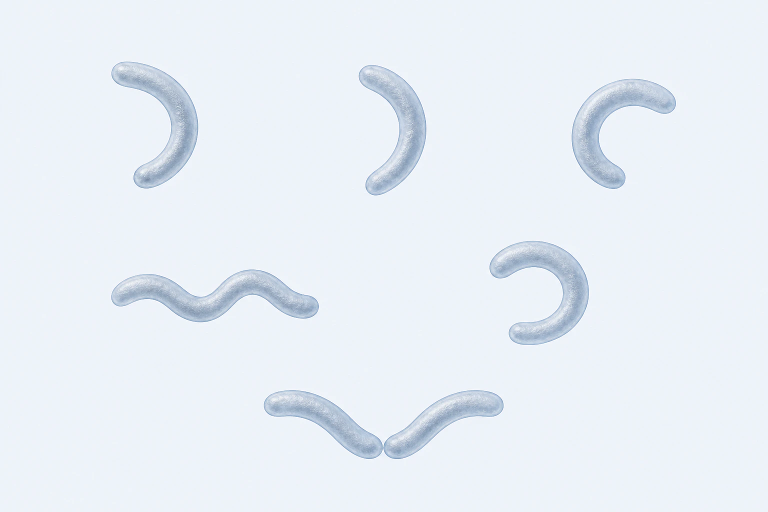 Seven Campylobacter jejuni-like curved bodies appear in six groupings: five single comma, S, or deep-C forms and one touching two-cell gull-wing arrangement.