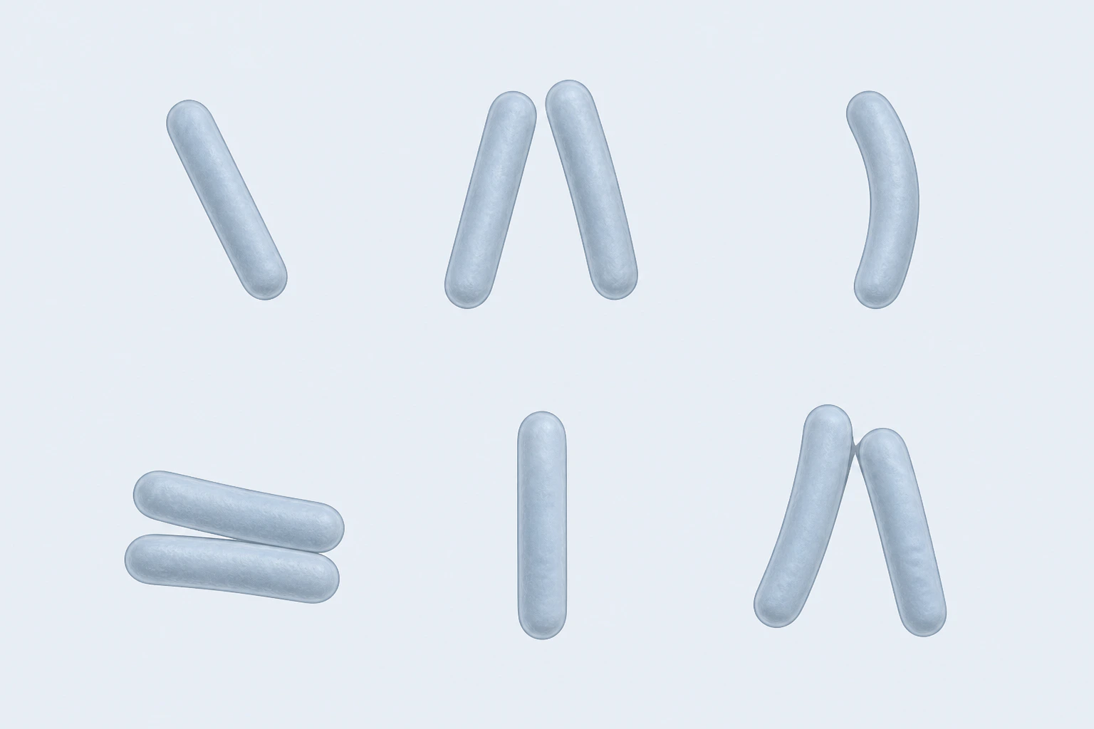 Nine selected Clostridia rod bodies appear in six groupings: three singles, two loose two-rod arrangements, and one touching angled pair.