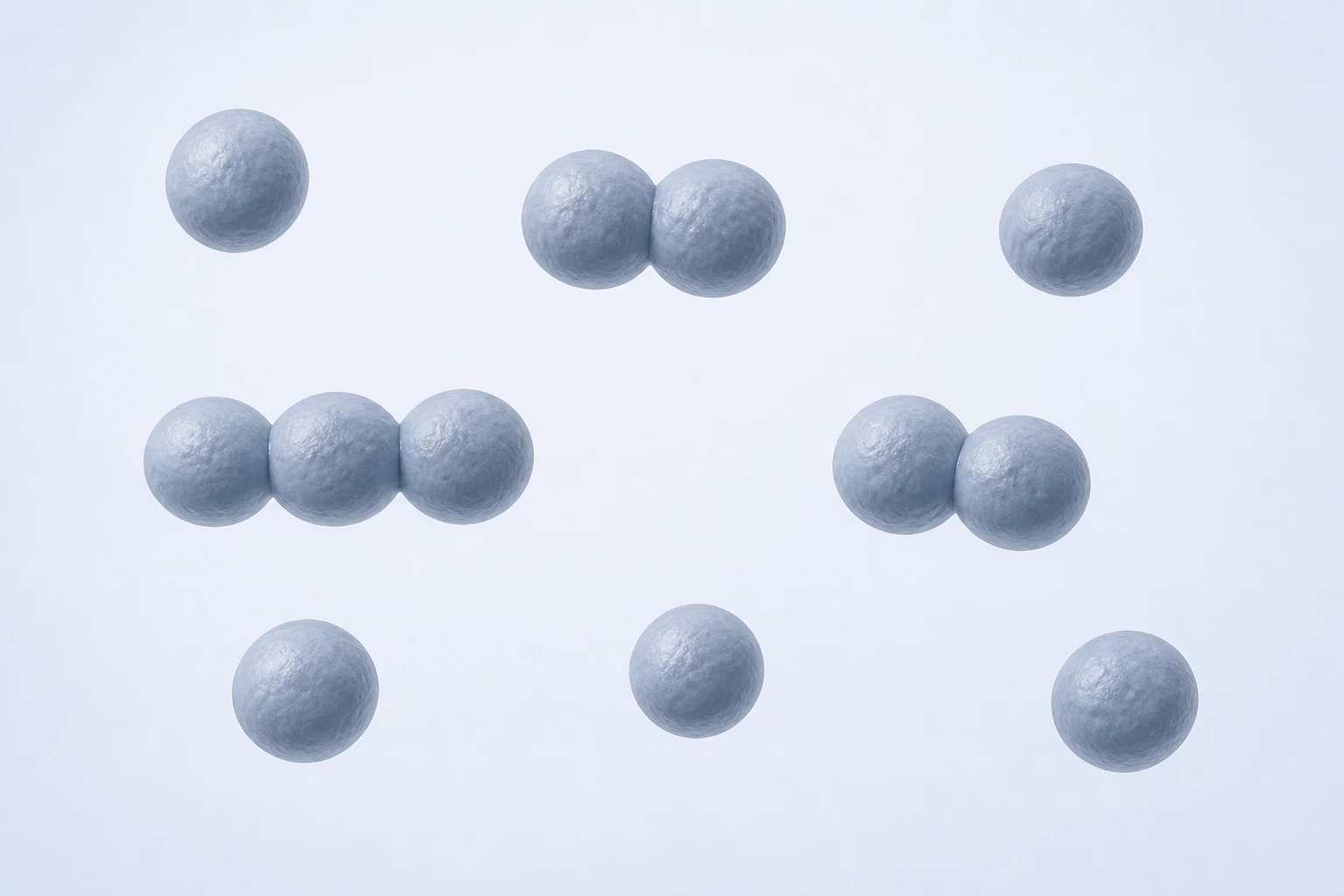Twelve selected Finegoldia coccoid bodies appear in eight groupings: five singles, two touching pairs, and one three-body short chain.