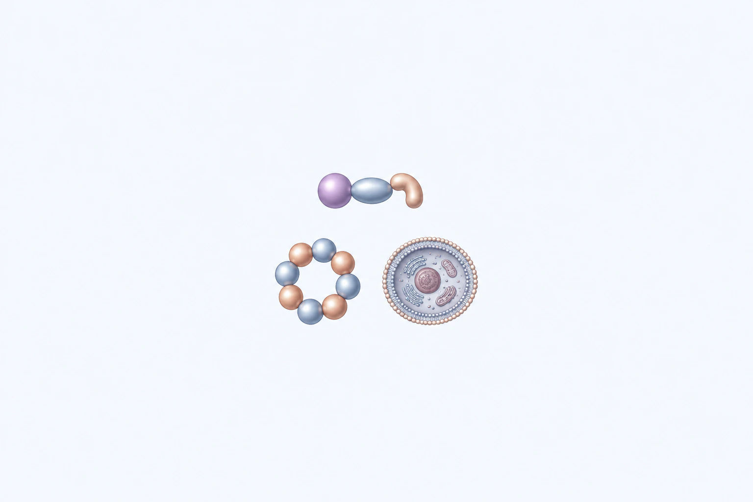 A generic NLRP3 sensor-context form is separated from an eight-subunit circular complex model and a generic whole-cell cutaway with an intact membrane.