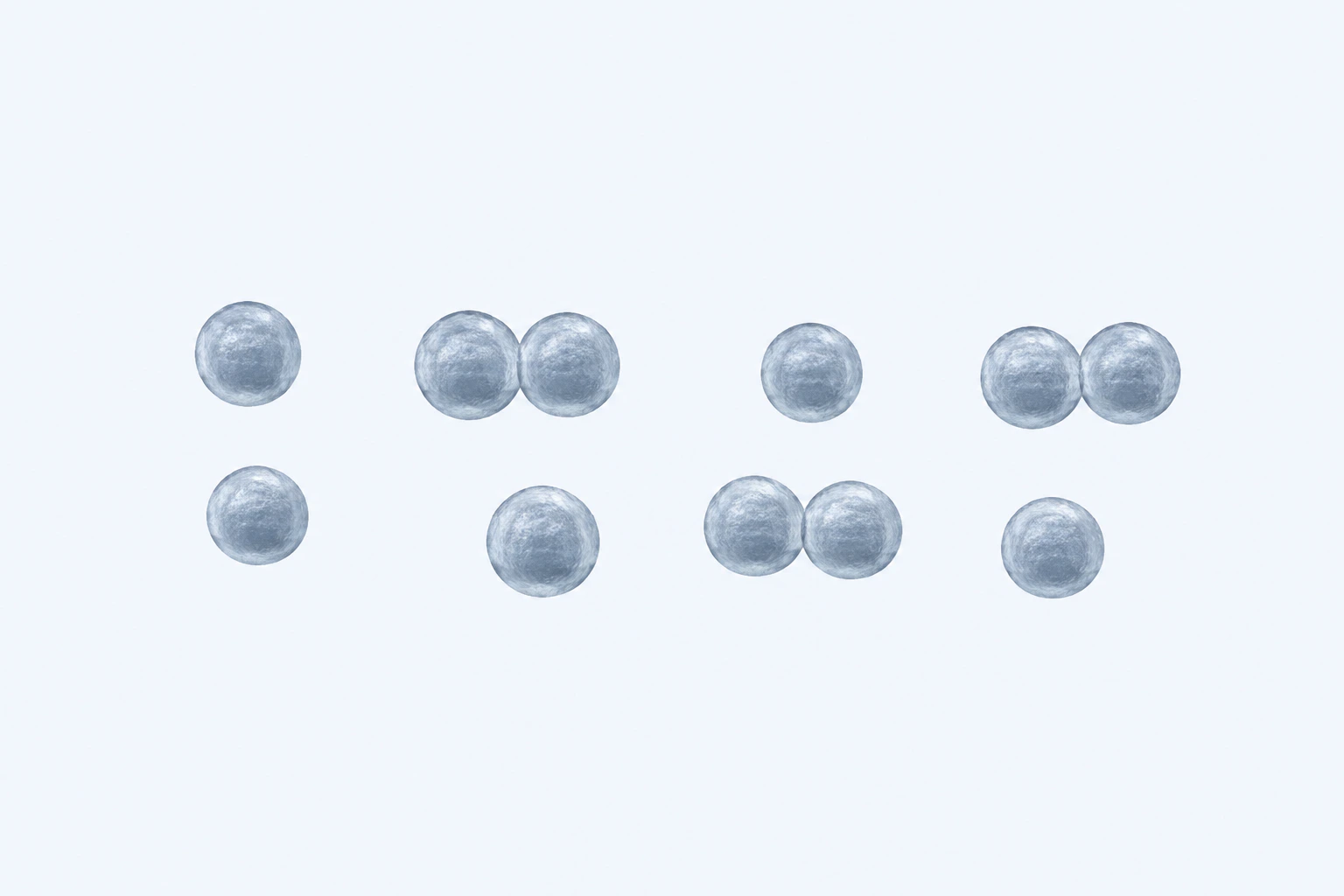 Eleven nearly spherical Ruminococcus bromii bodies appear in eight groups: five singles and three touching pairs.