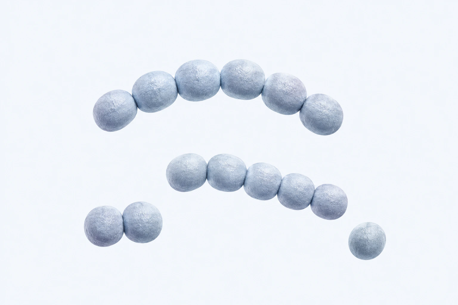 Fourteen selected Streptococcus cocci appear in two curved chains, one pair, and one isolated single.
