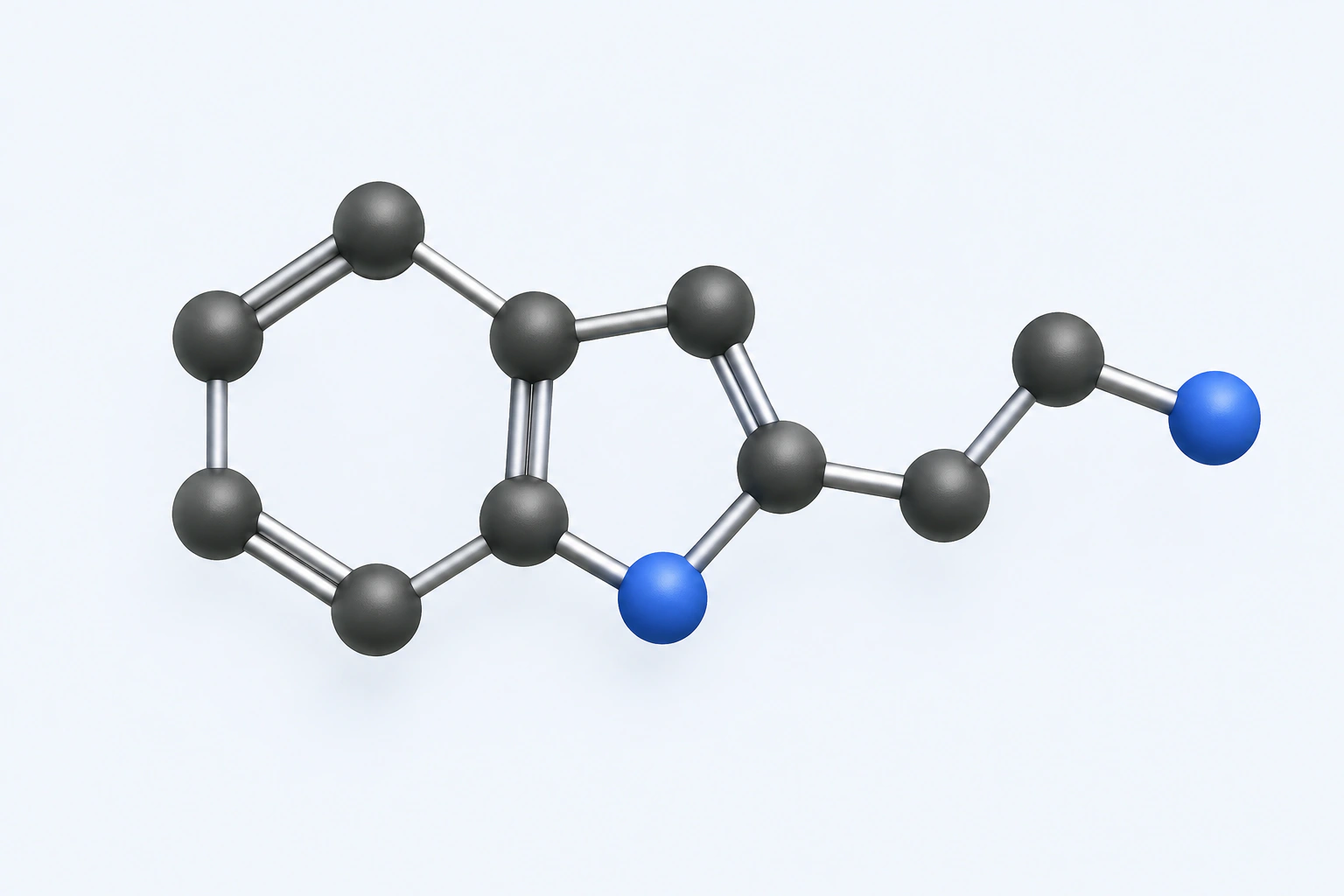 Single heavy-atom connectivity model of tryptamine with ten carbon centers and two nitrogen centers.